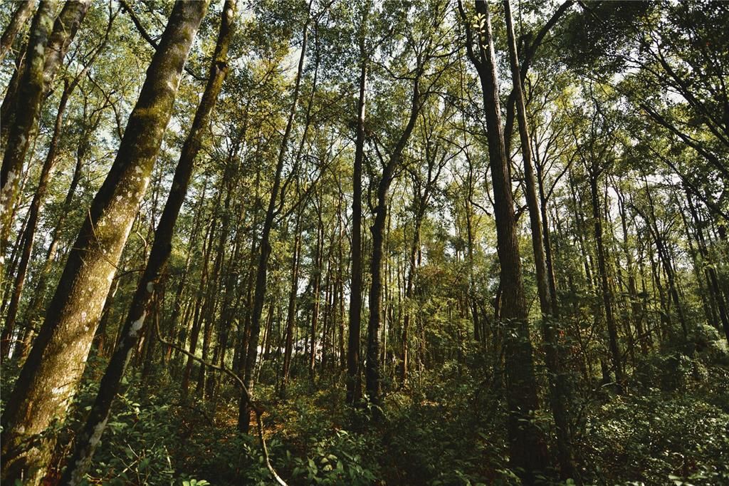 待售: $319,999 (32.00 acres)