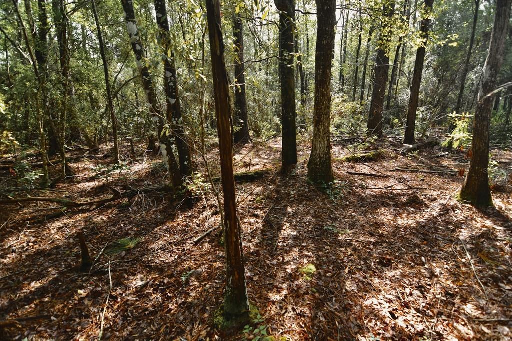 待售: $319,999 (32.00 acres)