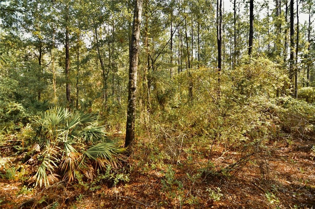 待售: $319,999 (32.00 acres)