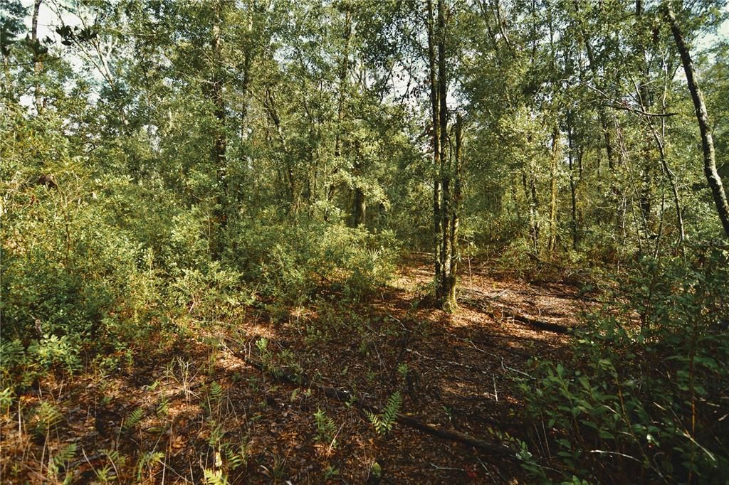 待售: $319,999 (32.00 acres)