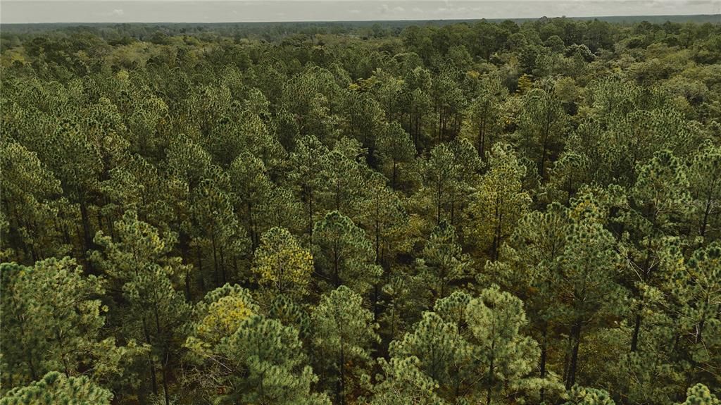 待售: $319,999 (32.00 acres)