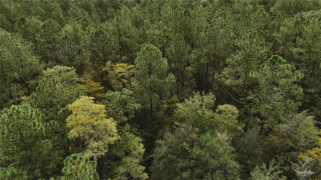 待售: $319,999 (32.00 acres)