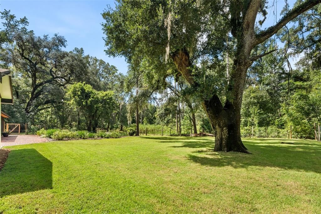For Sale: $625,000 (4 beds, 2 baths, 2046 Square Feet)