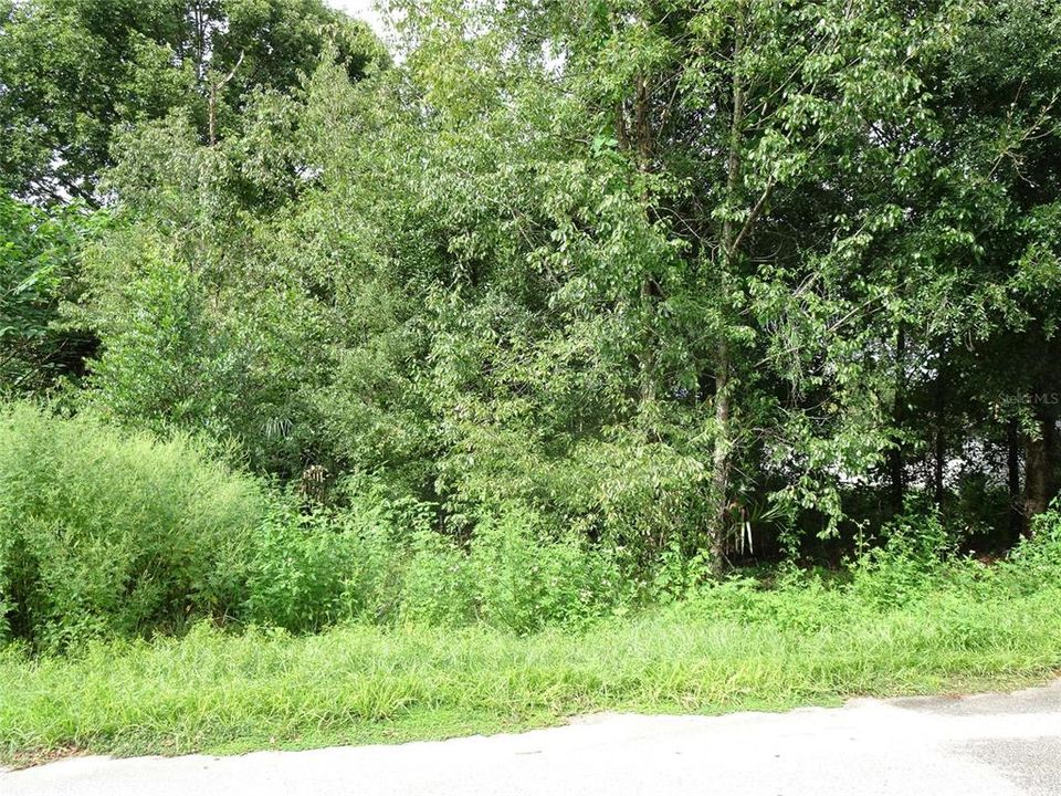 На продажу: $40,000 (0.24 acres)
