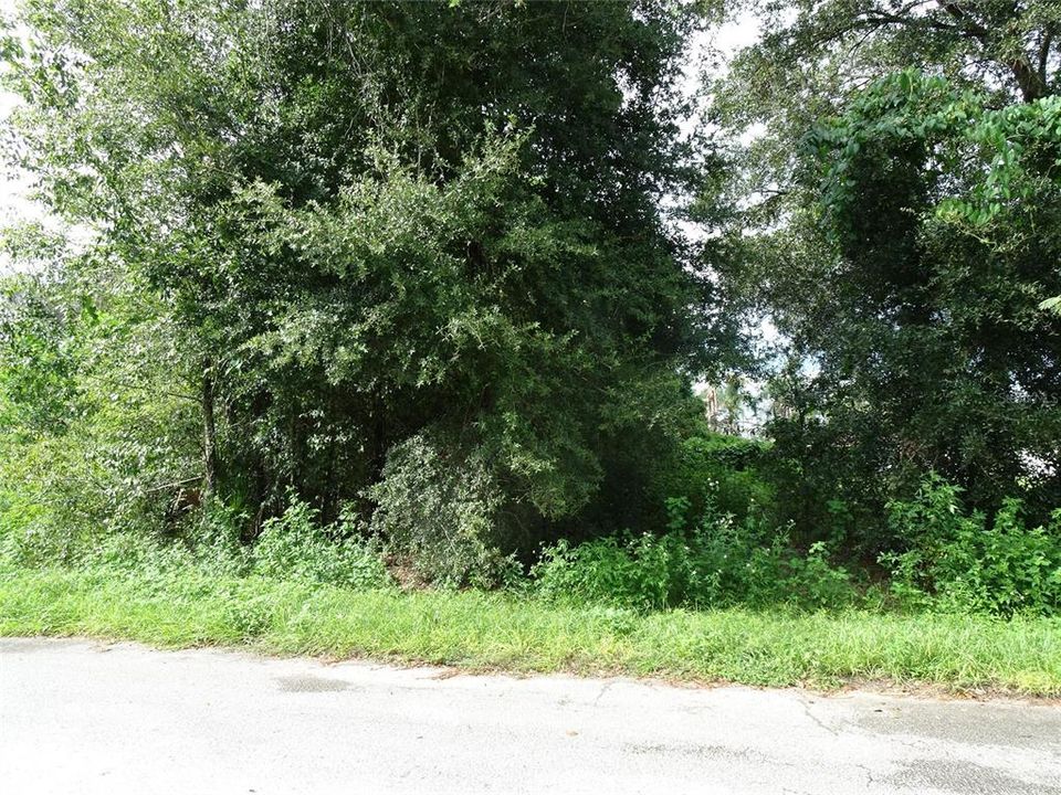 На продажу: $40,000 (0.24 acres)