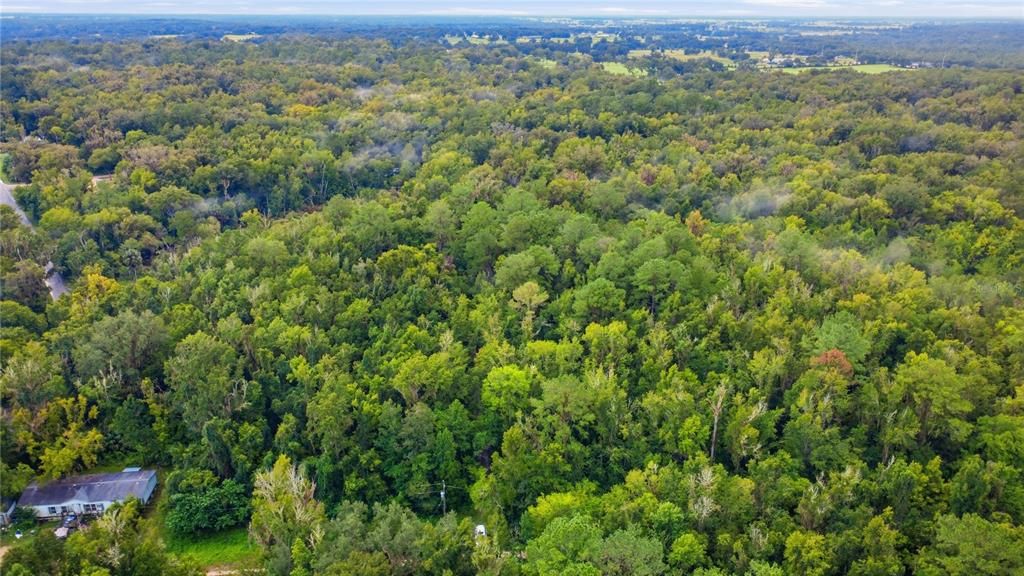 На продажу: $14,000 (0.25 acres)