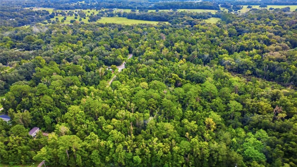 На продажу: $14,000 (0.25 acres)