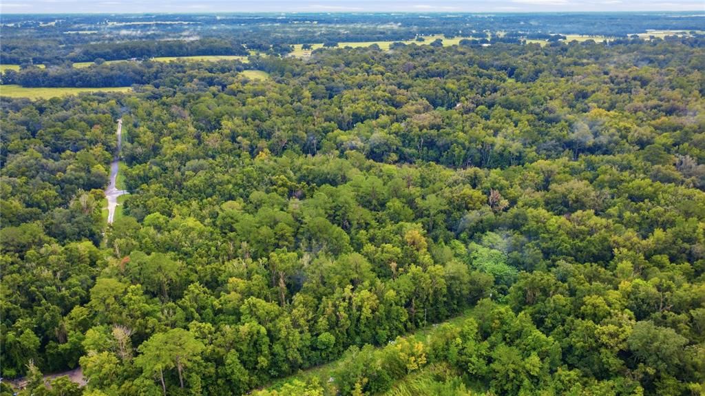 На продажу: $14,000 (0.25 acres)
