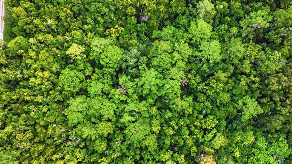 На продажу: $14,000 (0.25 acres)