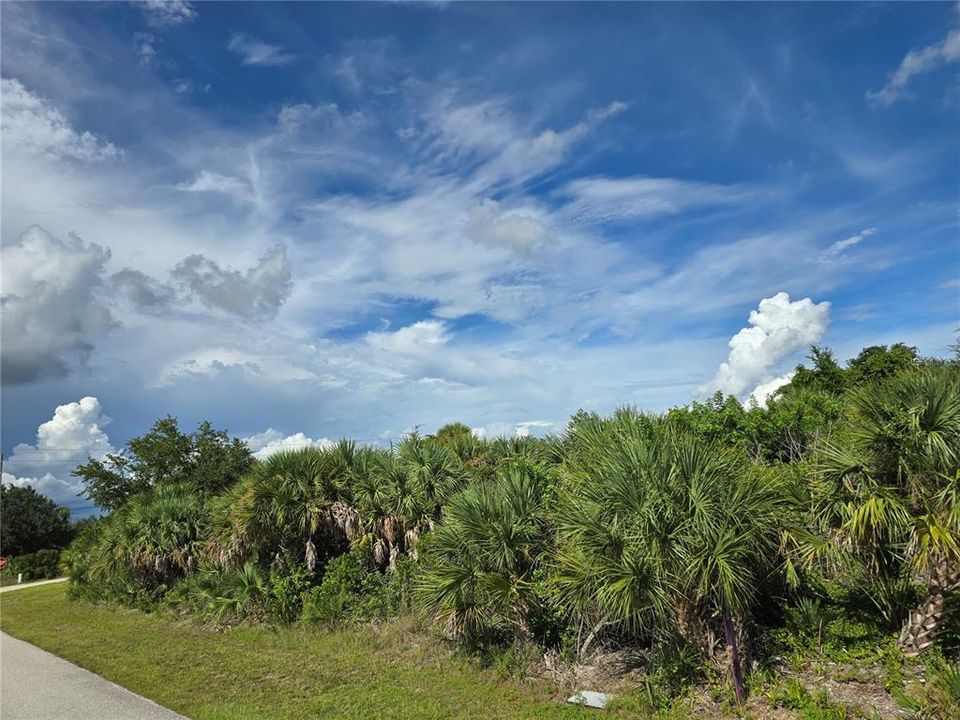 На продажу: $25,000 (0.23 acres)