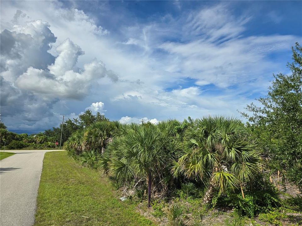 На продажу: $25,000 (0.23 acres)