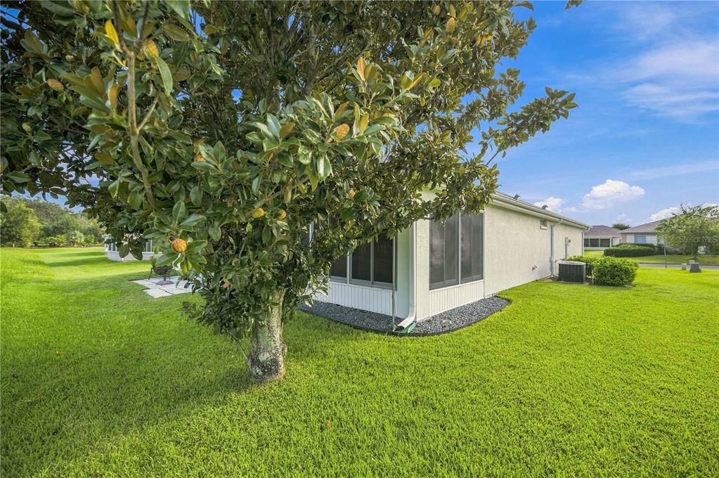For Sale: $284,900 (2 beds, 2 baths, 1575 Square Feet)
