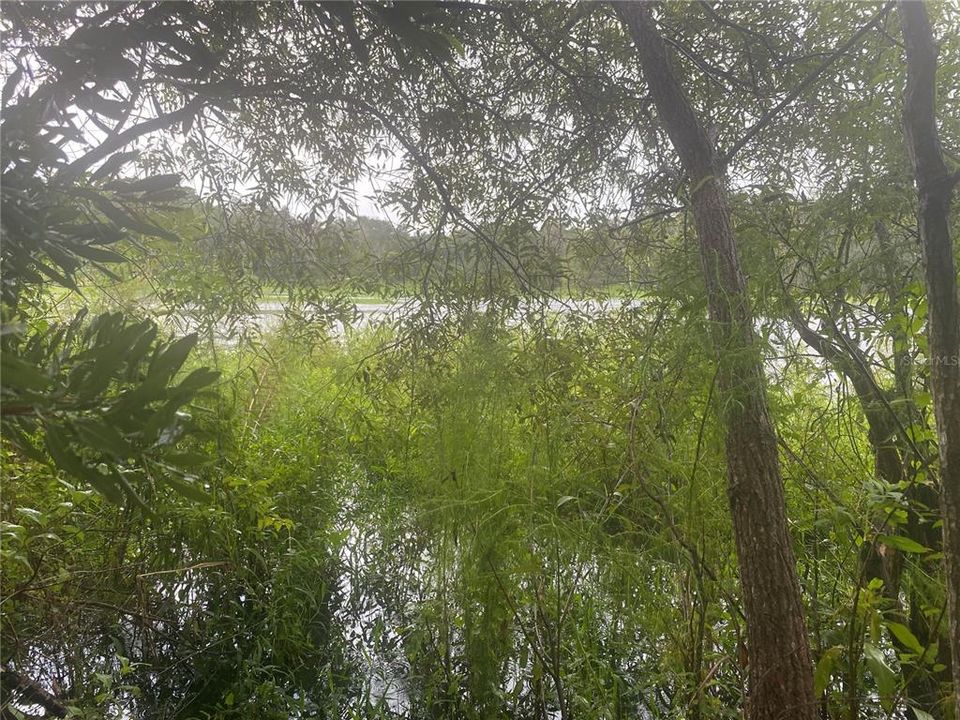 En Venta: $69,900 (0.48 acres)