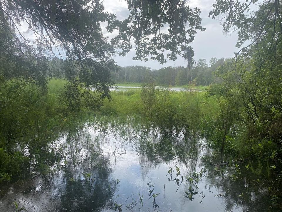 En Venta: $69,900 (0.48 acres)
