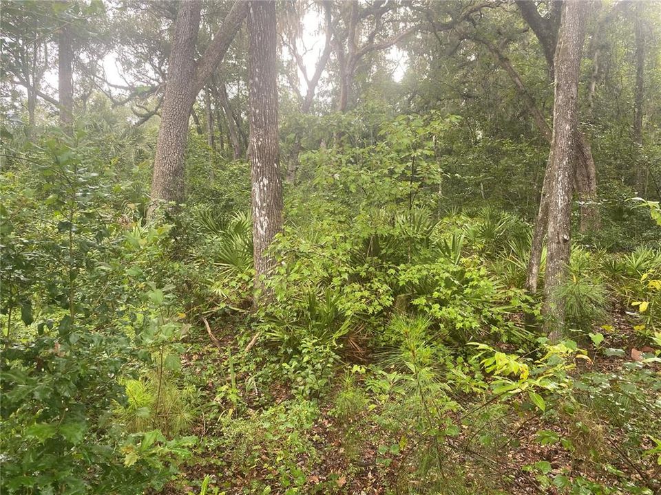 En Venta: $69,900 (0.48 acres)