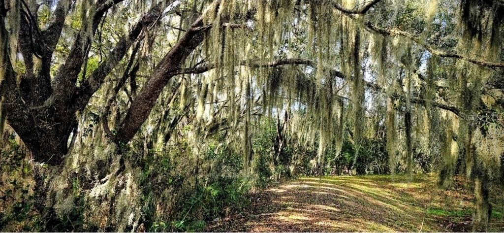 На продажу: $259,999 (0.43 acres)