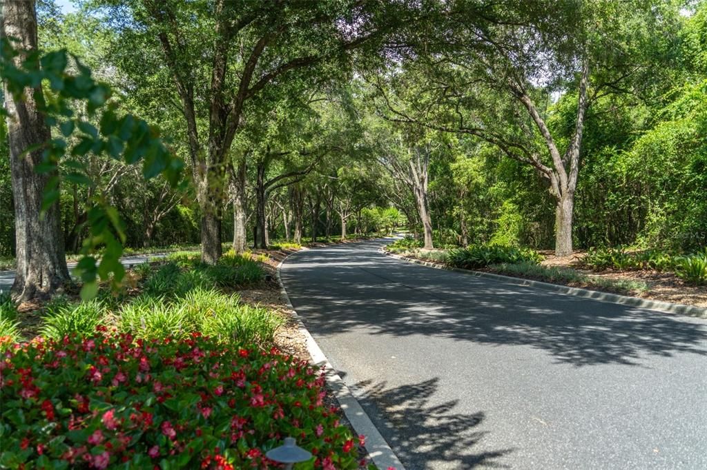 For Sale: $170,000 (0.75 acres)