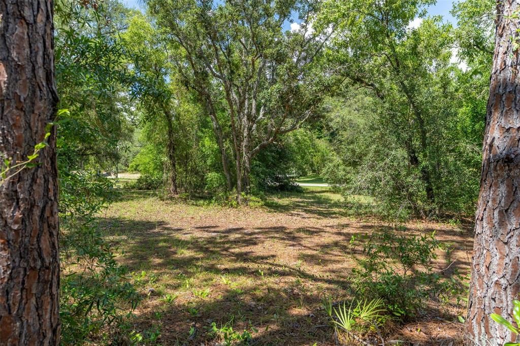 For Sale: $170,000 (0.75 acres)