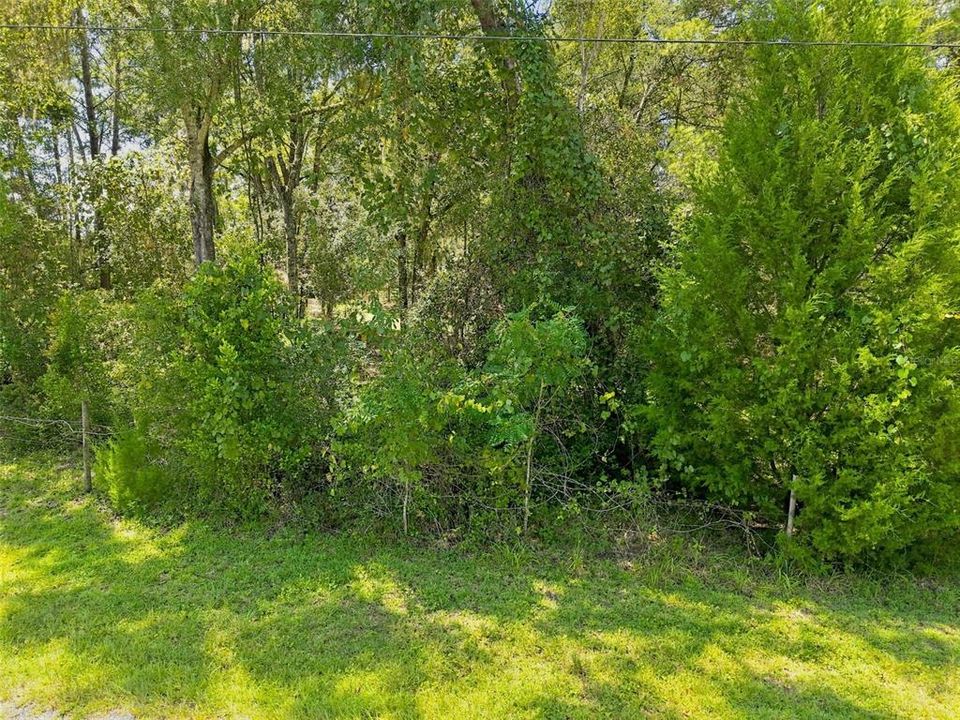 На продажу: $185,000 (2.50 acres)