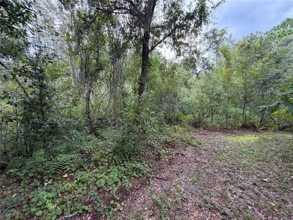 For Sale: $129,000 (3 beds, 2 baths, 1248 Square Feet)