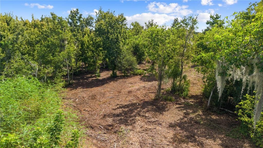 En Venta: $219,000 (2.00 acres)