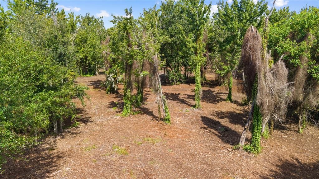 En Venta: $219,000 (2.00 acres)