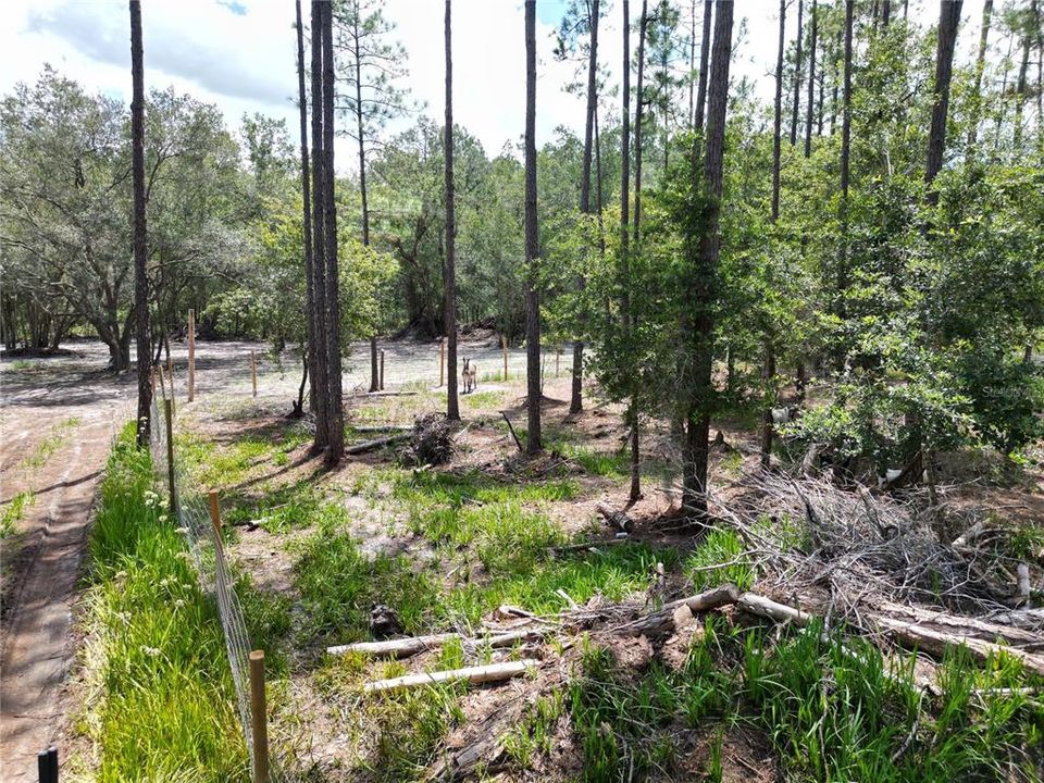 Activo con contrato: $149,990 (6.27 acres)