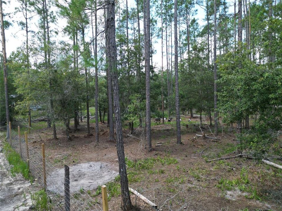 Activo con contrato: $149,990 (6.27 acres)