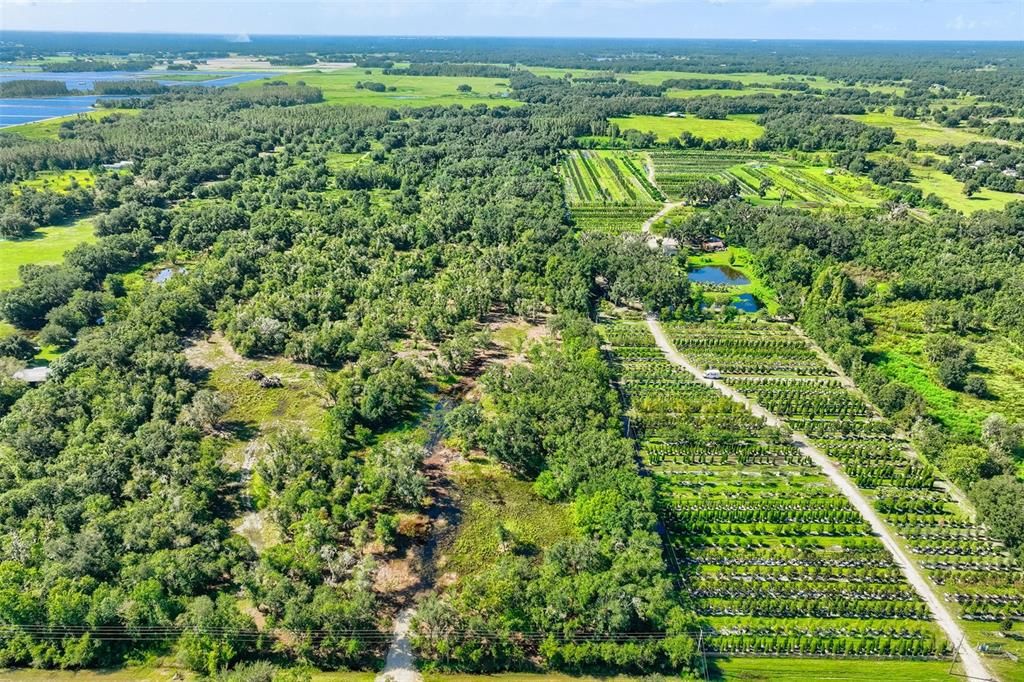 En Venta: $425,000 (9.50 acres)