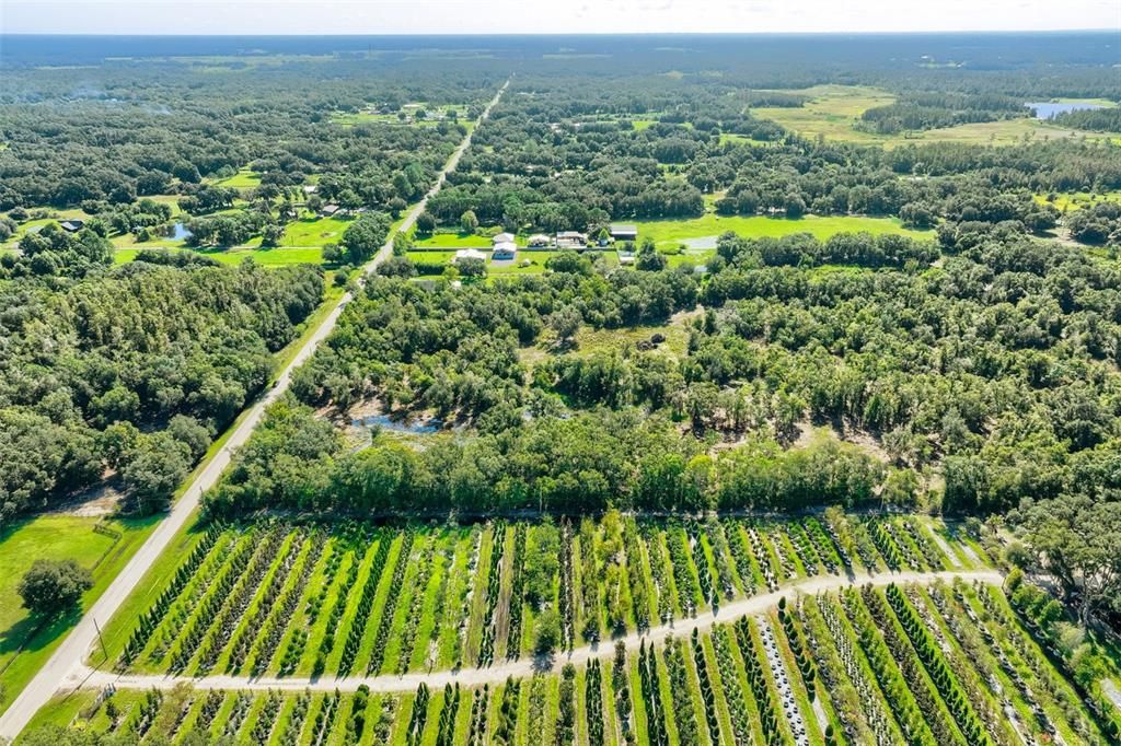 En Venta: $425,000 (9.50 acres)