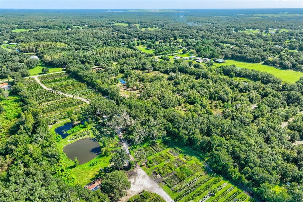 En Venta: $425,000 (9.50 acres)