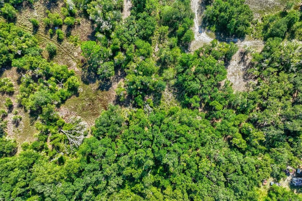 En Venta: $425,000 (9.50 acres)