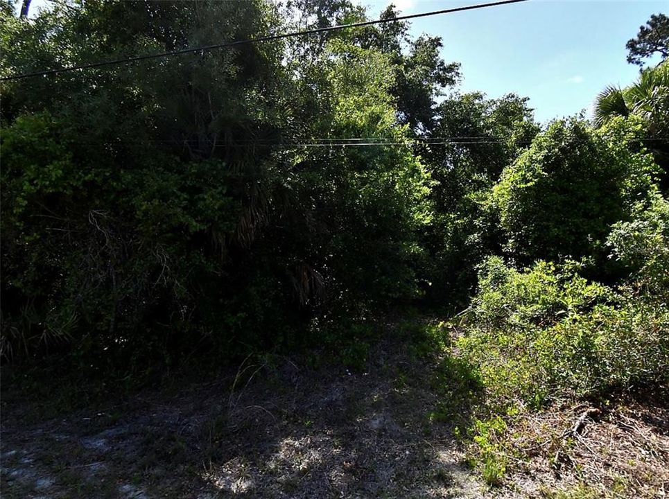 For Sale: $17,000 (0.23 acres)