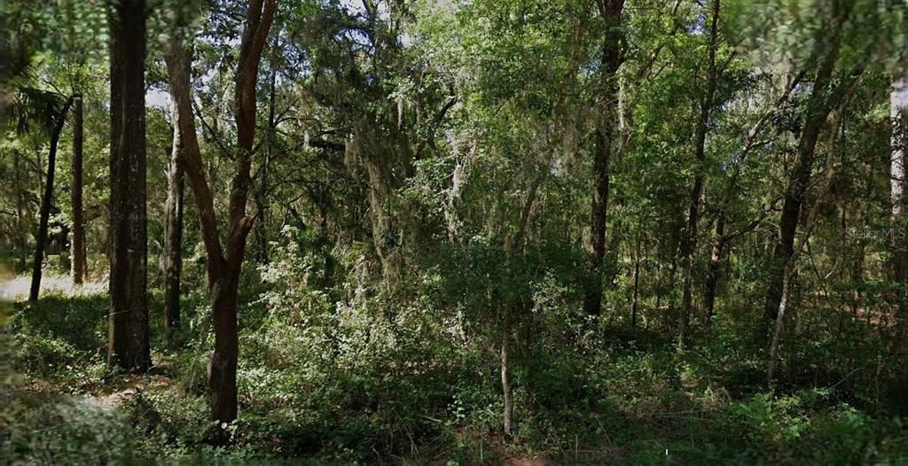 En Venta: $12,000 (0.20 acres)