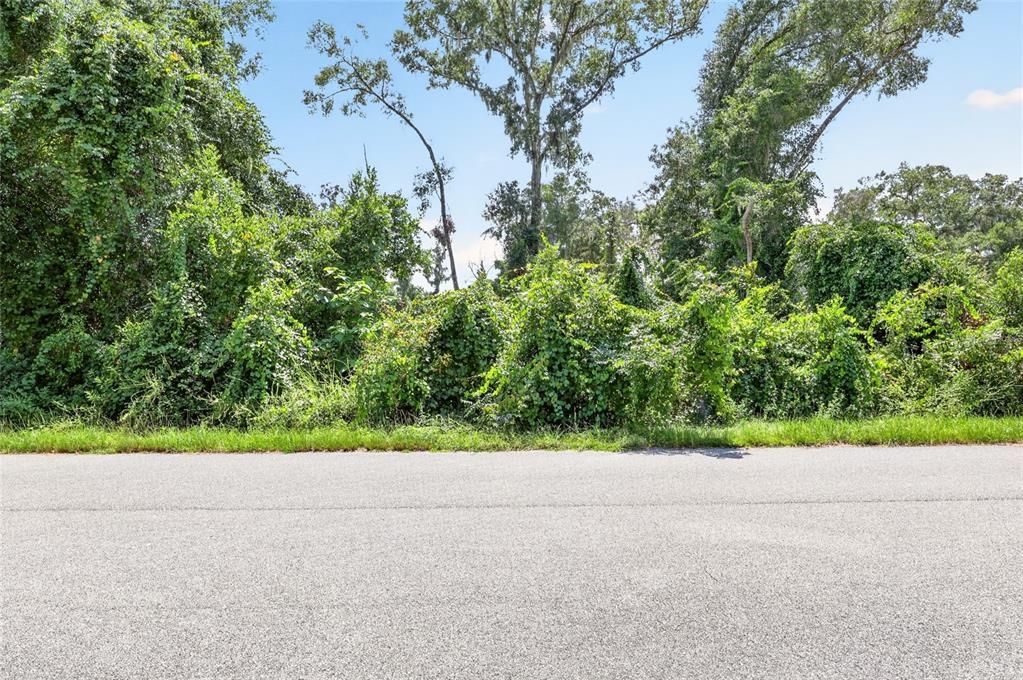 待售: $37,500 (0.30 acres)