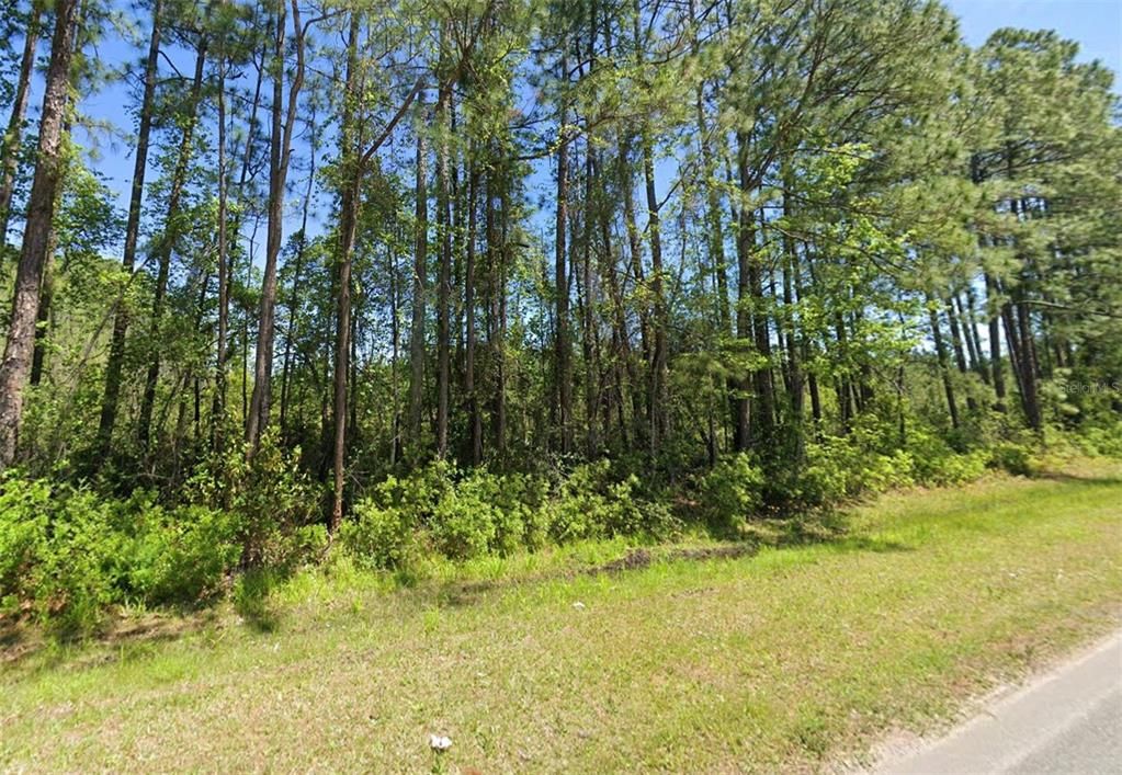 For Sale: $45,999 (1.07 acres)