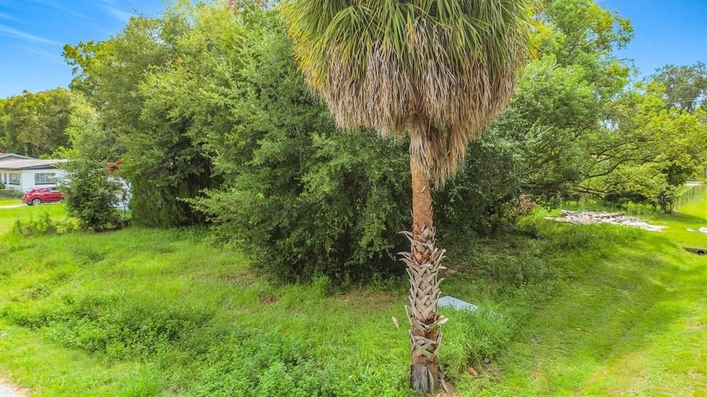 For Sale: $120,000 (0.18 acres)