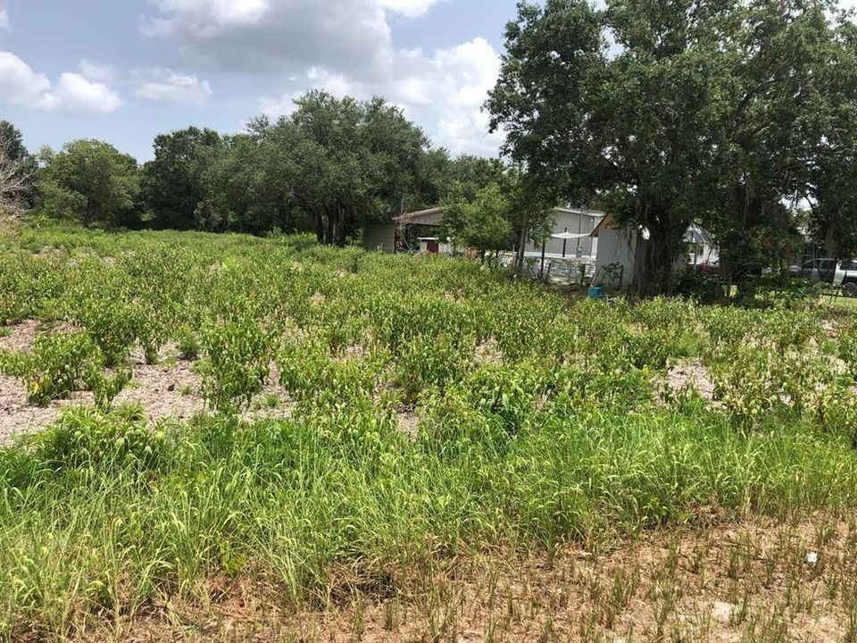 На продажу: $49,900 (1.15 acres)