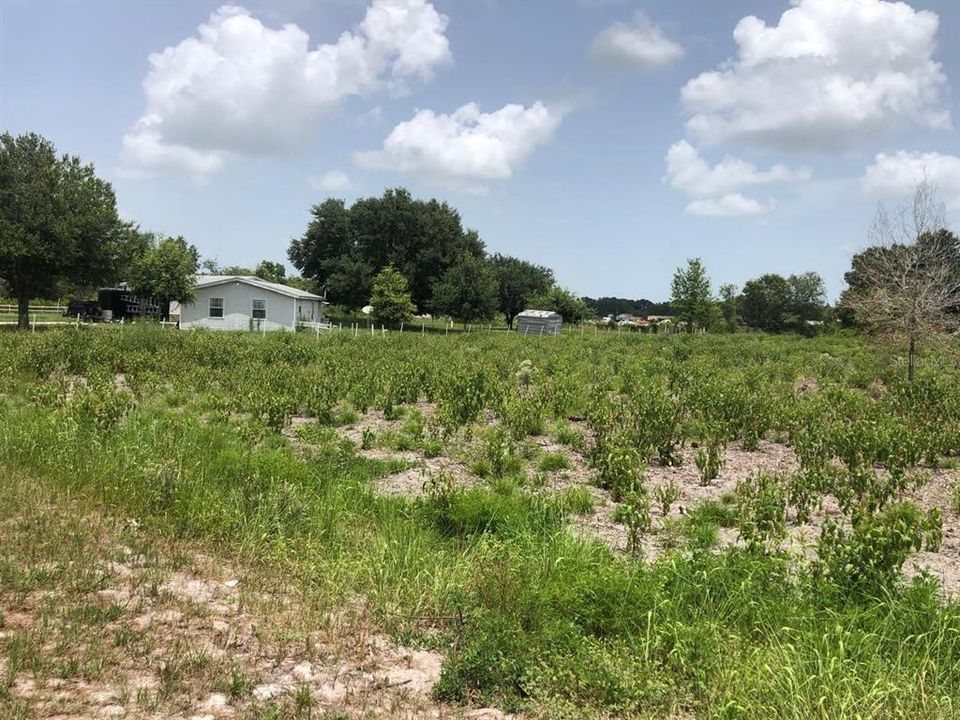 На продажу: $49,900 (1.15 acres)