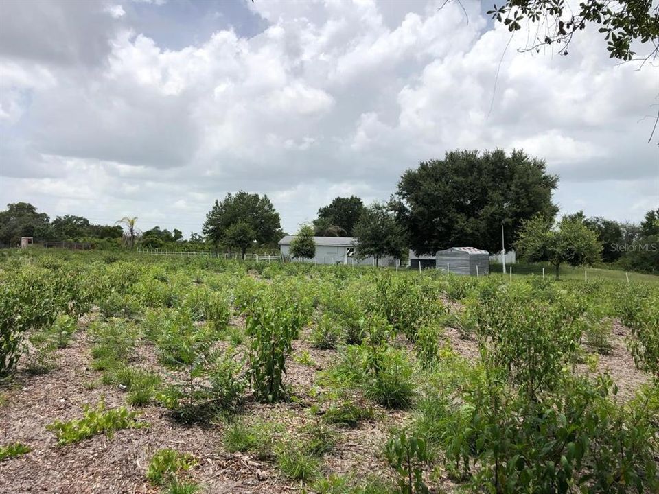 На продажу: $49,900 (1.15 acres)