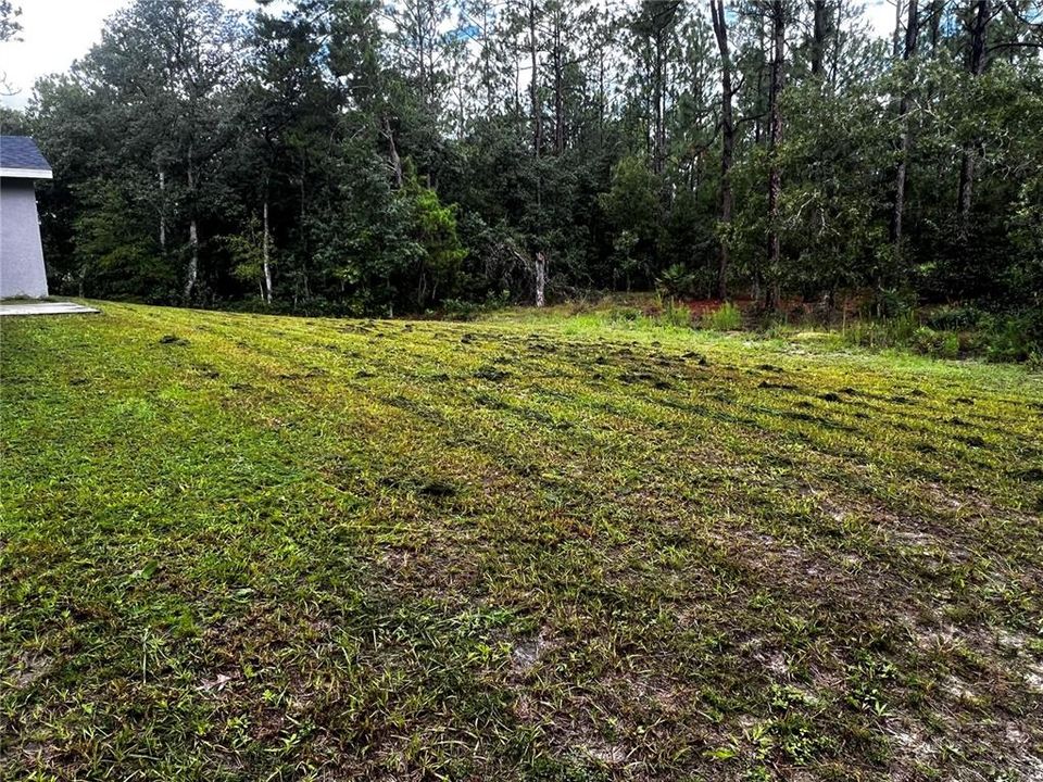 For Sale: $440,000 (4 beds, 2 baths, 1700 Square Feet)