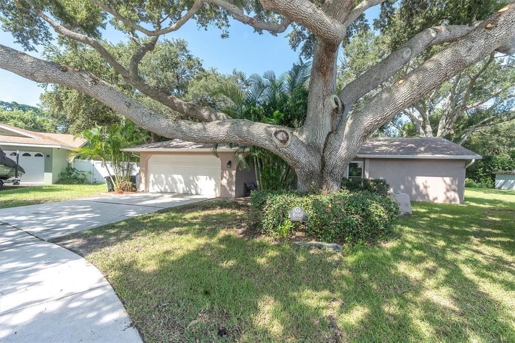 For Sale: $624,900 (3 beds, 2 baths, 1810 Square Feet)