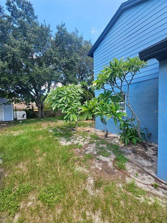 For Sale: $410,000 (3 beds, 2 baths, 1659 Square Feet)