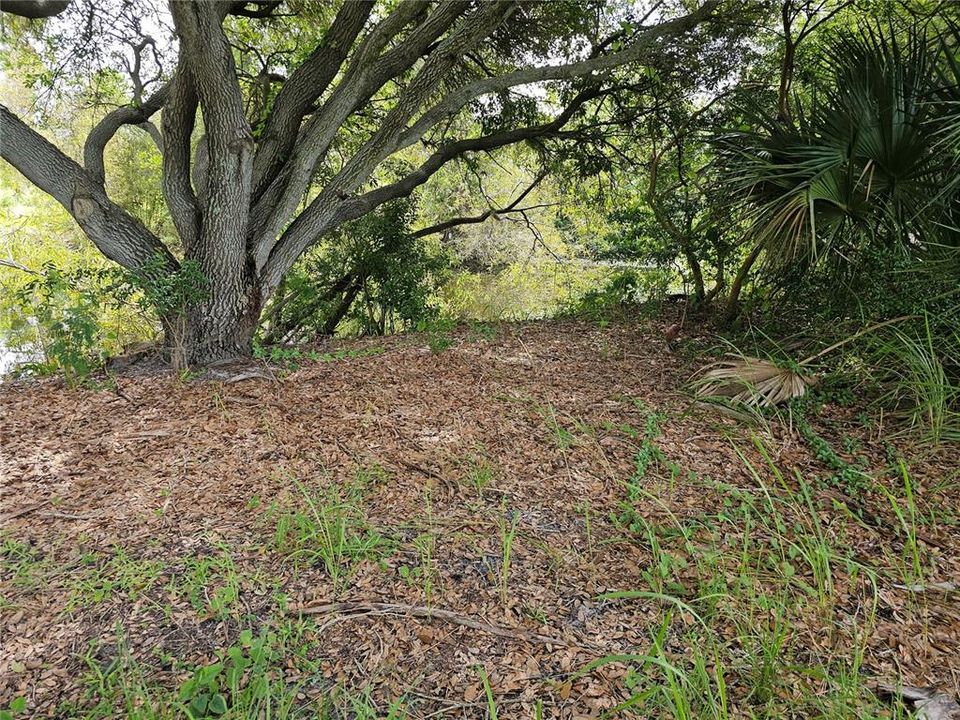 待售: $295,000 (1.25 acres)