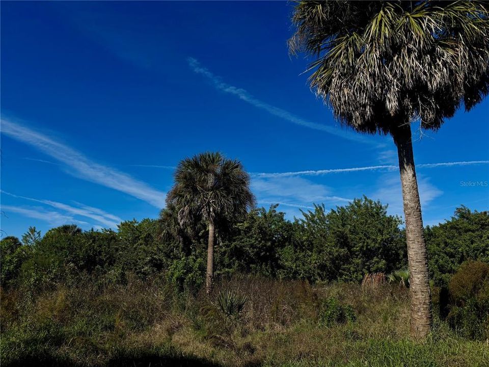 En Venta: $85,000 (0.39 acres)