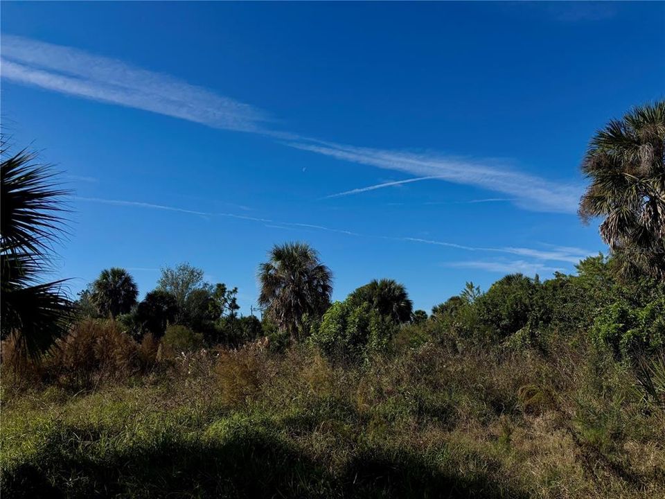 En Venta: $85,000 (0.39 acres)