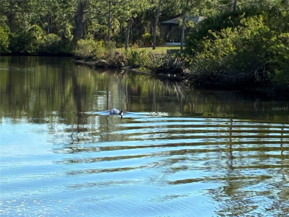 En Venta: $85,000 (0.39 acres)