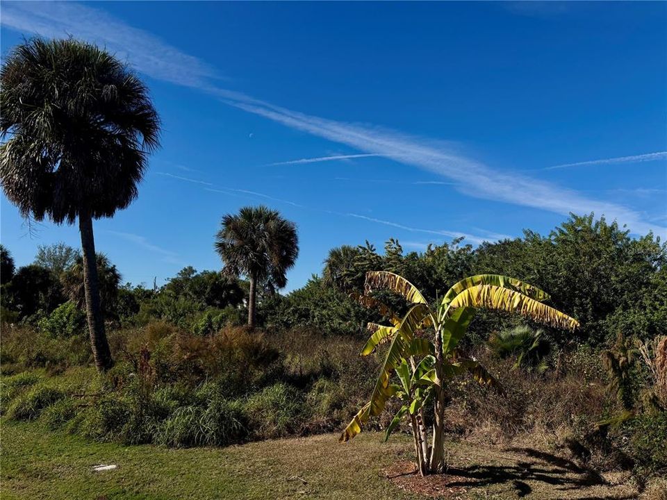En Venta: $85,000 (0.39 acres)