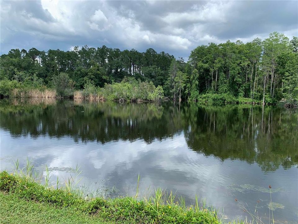 En Renta: $2,450 (3 camas, 2 baños, 1232 Pies cuadrados)
