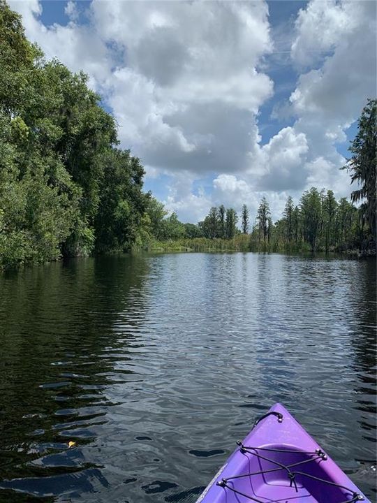En Renta: $2,450 (3 camas, 2 baños, 1232 Pies cuadrados)